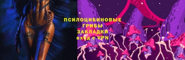 крисы Балахна