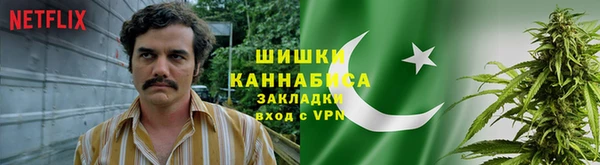 крисы Балахна